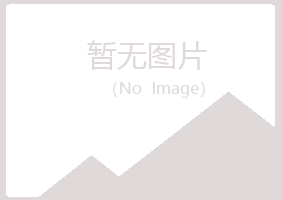 鹤壁山城女孩工程有限公司